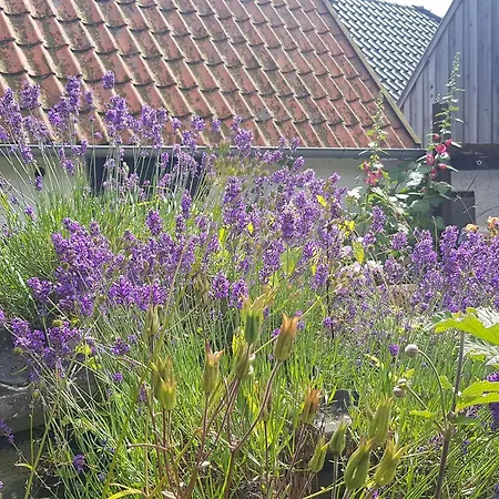 Holiday home Fischerstern Maasholm
