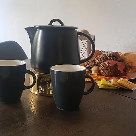 Fischerstern Maasholm